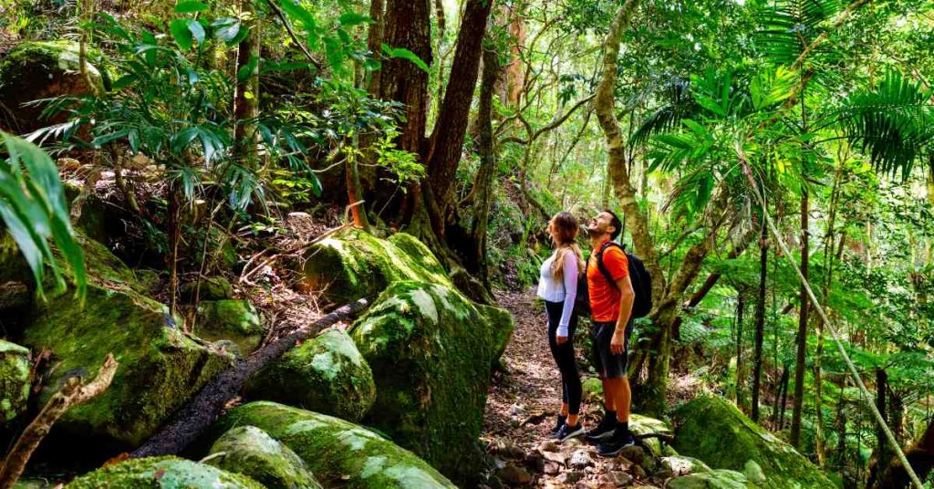 Two explorers Lamington National Park 